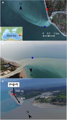 Response of a Small River Plume on Wind Forcing